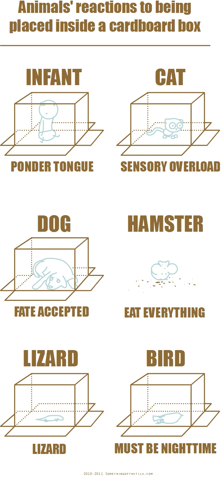 Animals' reactions to being
placed inside a cardboard box
INFANT
PONDER TONGUE
CAT
SENSORY OVERLOAD
DOG
FATE ACCEPTED
HAMSTER
EAT EVERYTHING
LIZARD
LIZARD
BIRD
MUST BE NIGHTTIME
2010-2011 SOMETHINGOFTHATLK.COM