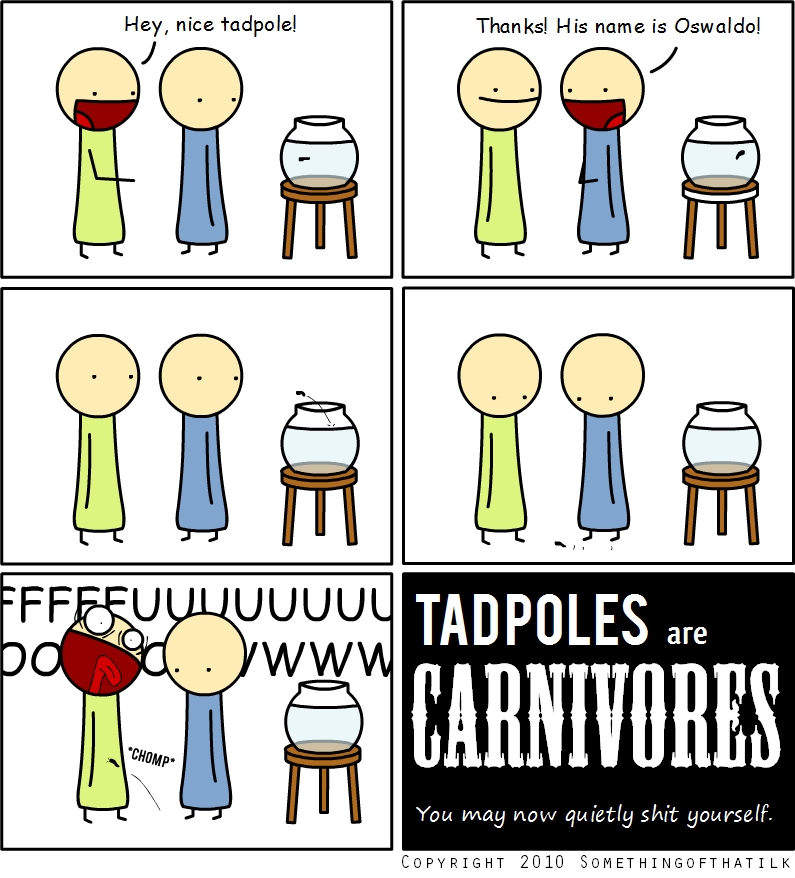 Hey, nice tadpole!
Thanks! His name is Oswaldo!
FFFFFFUUUUUUUUUUUOOOOOOOOOOWWWWWW
